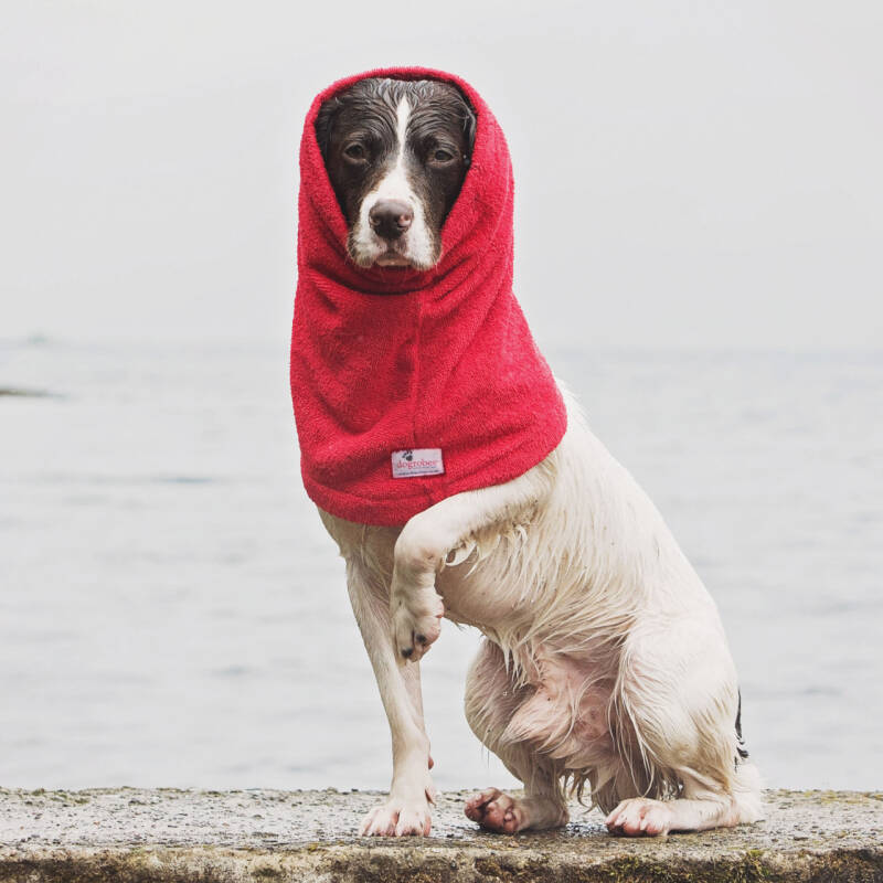 Snoods